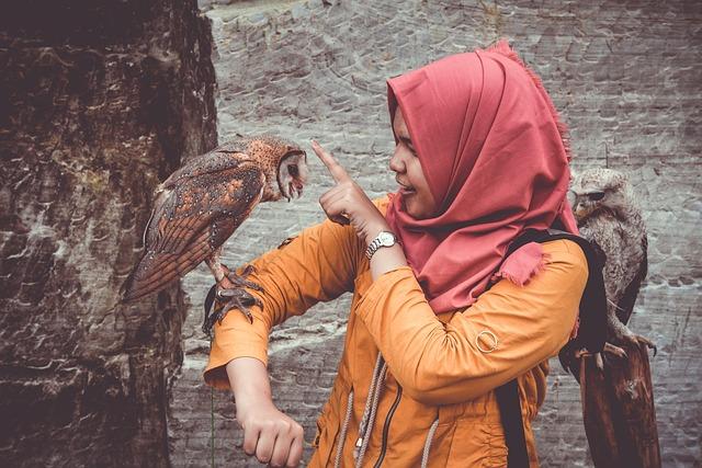 Enhancing Trust: Digital Communication Before Meeting