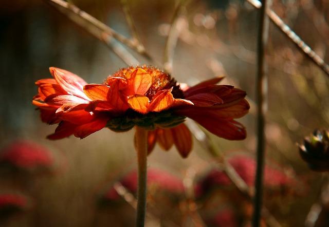 Navigating Conversations About Emotional Fulfillment