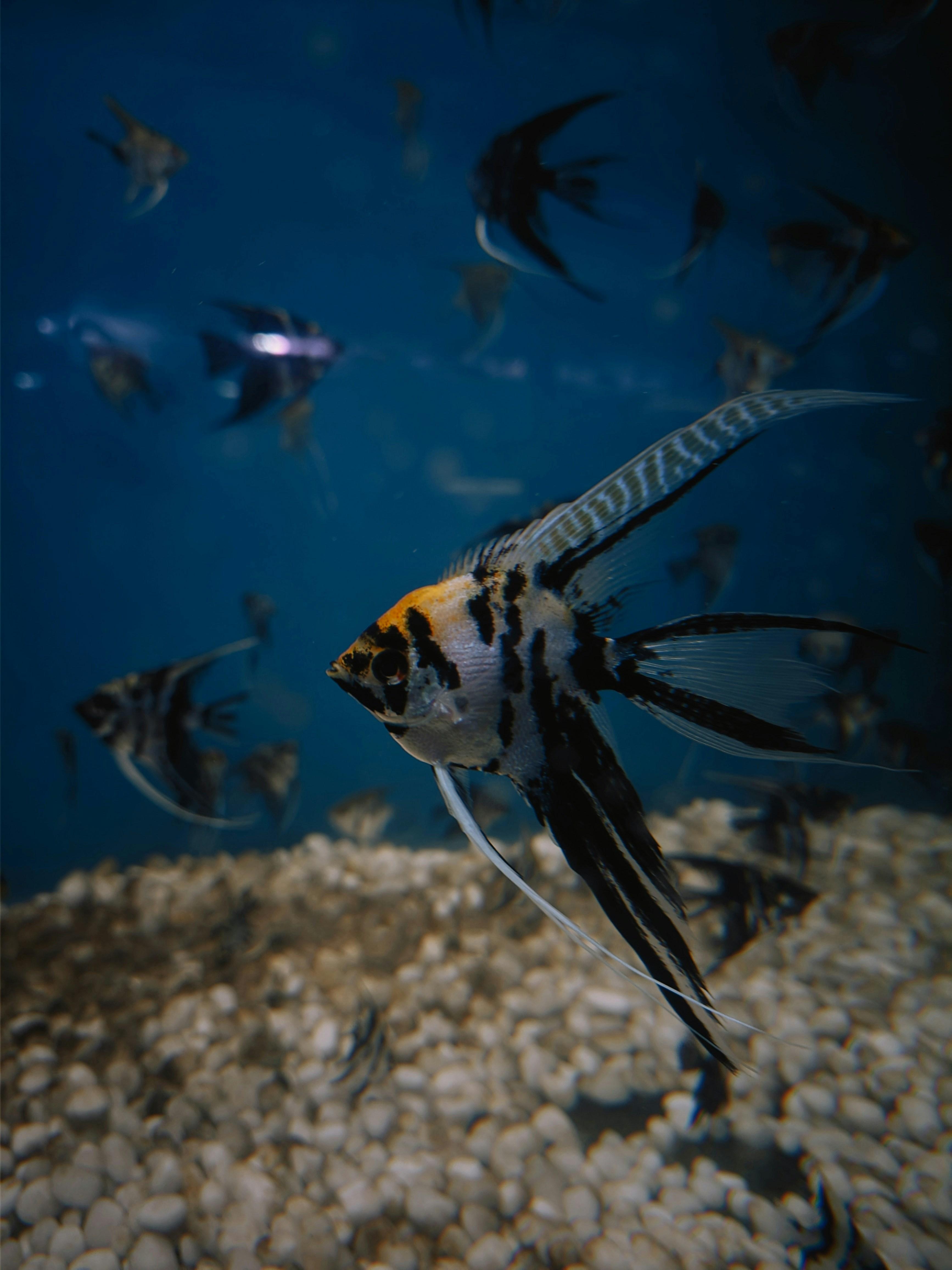 Spotting‌ the​ Signs:⁣ Key Indicators of⁣ Catfishing