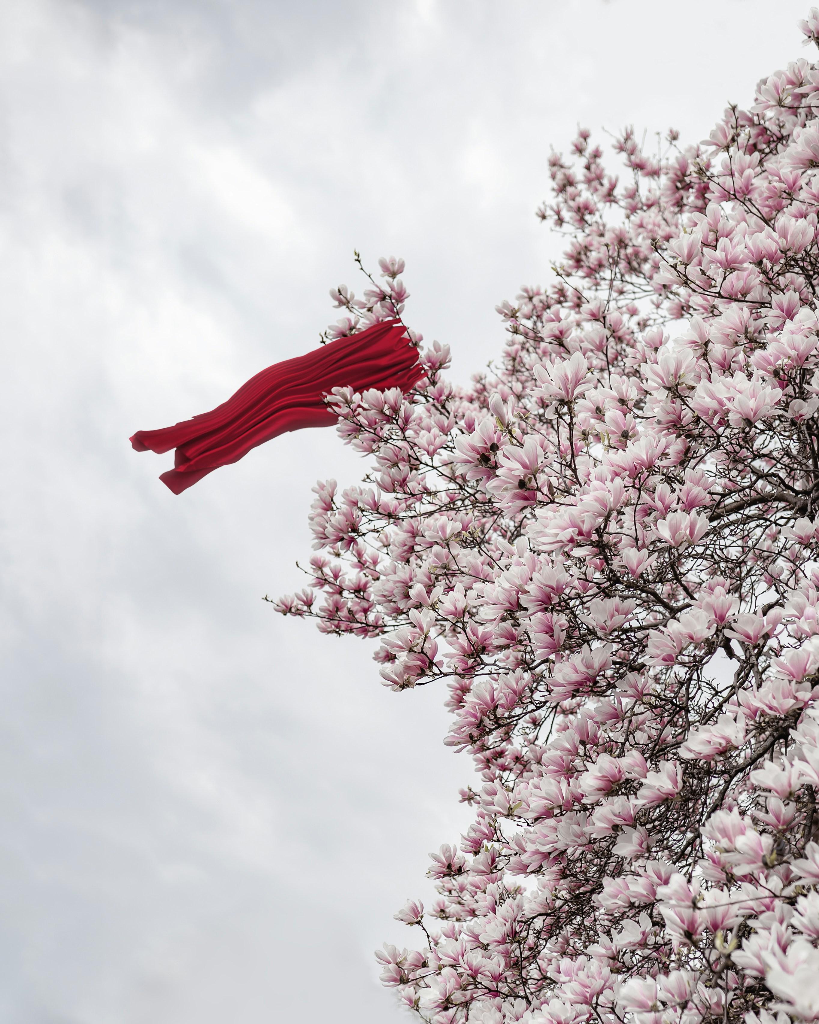 Spotting Red Flags: Recognizing When to Hold Back