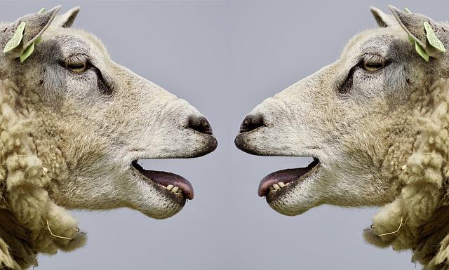 Communication Clues: Detecting Deceptive Conversations